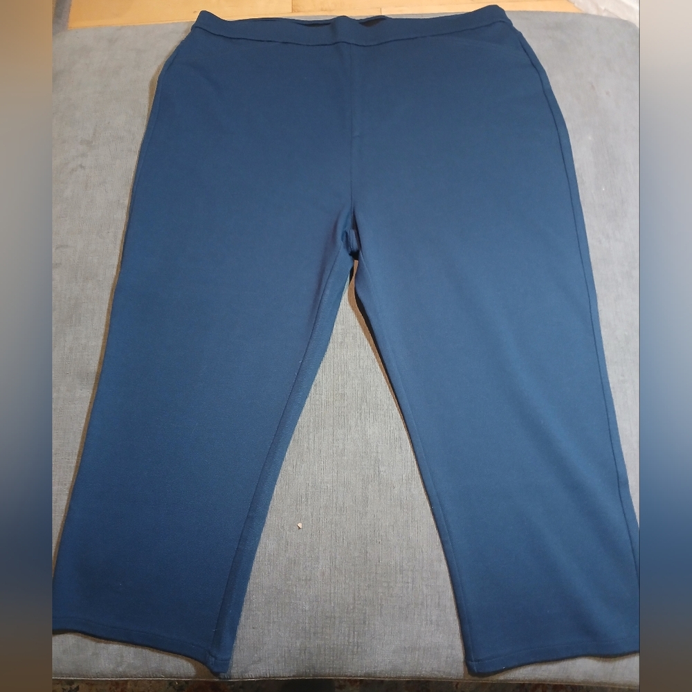 Isaac Mizrahi Womens Pants